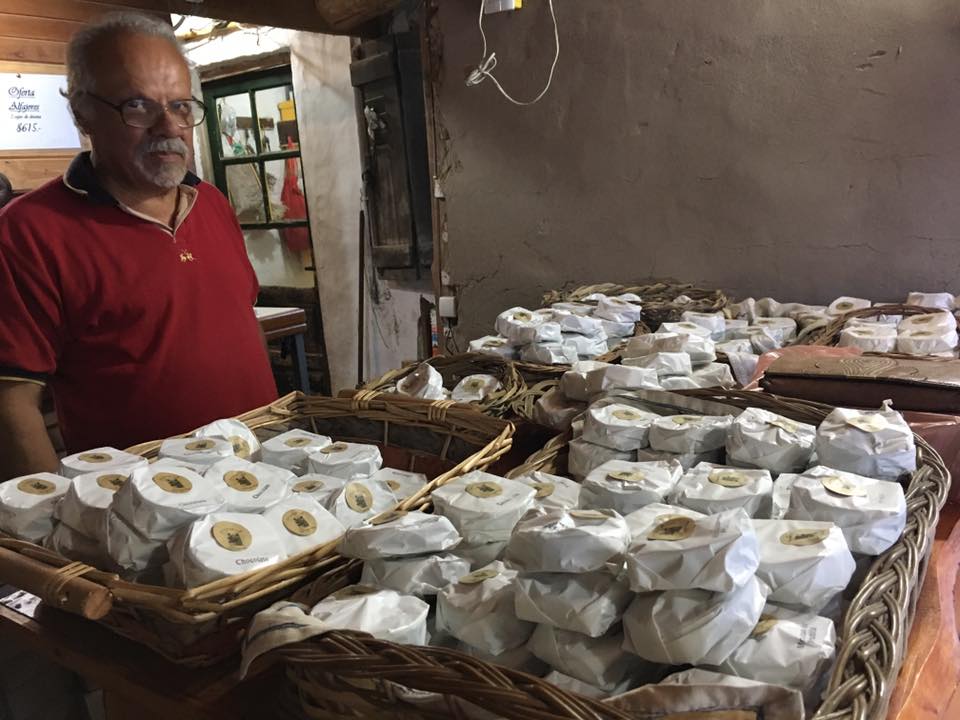 15873604_1382769268434979_2841121680528526941_n